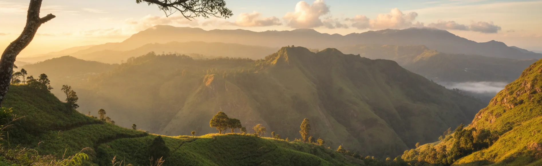 Day 7 - Wasgamuwa to Nuwara Eliya