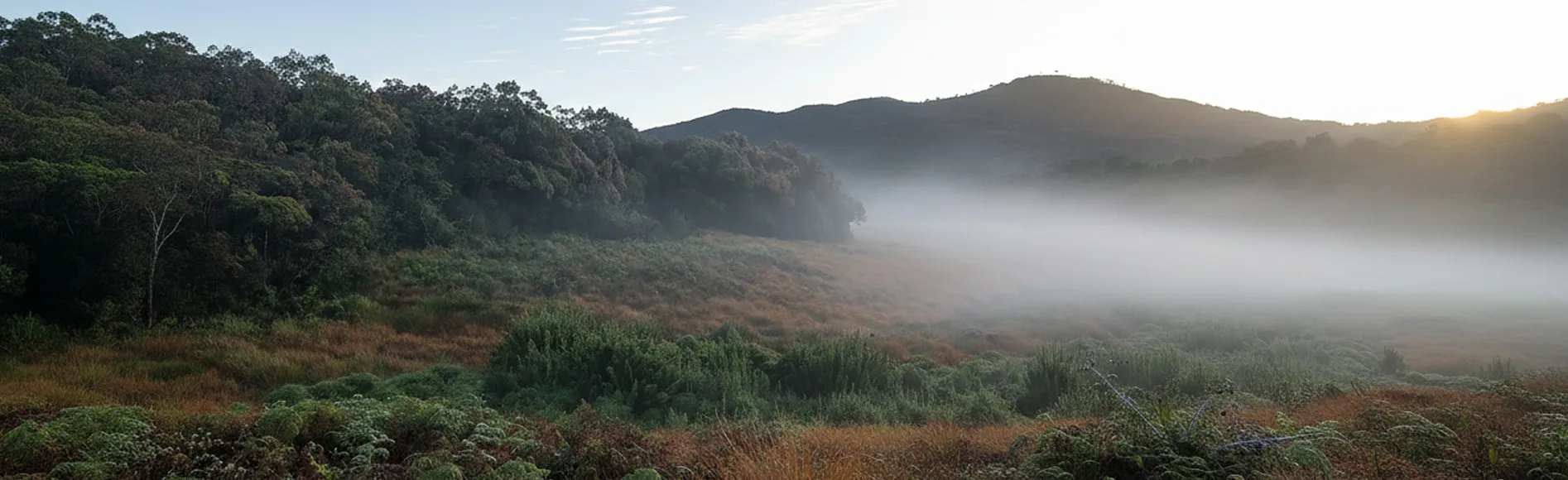 Day 7 - Nuwara Eliya (Part 2 - Idalgashinna & Horton Plains)